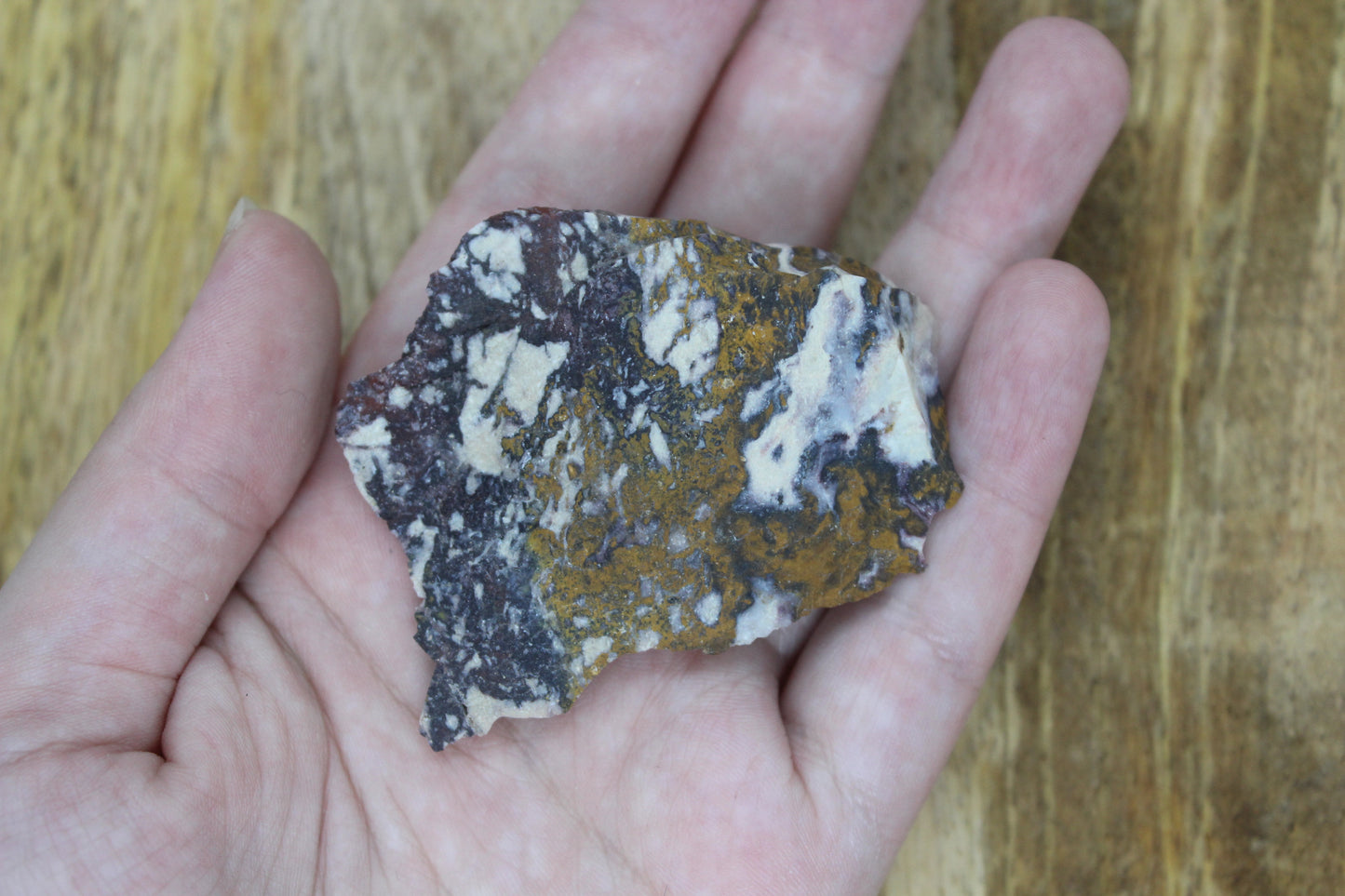 Painted Desert Jasper
