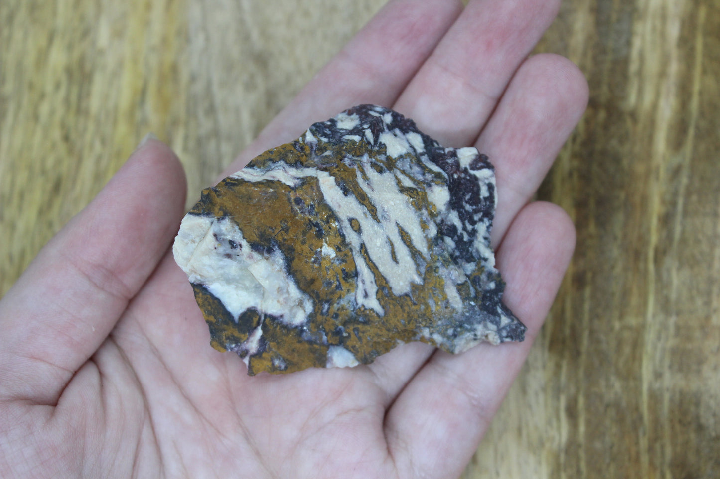 Painted Desert Jasper
