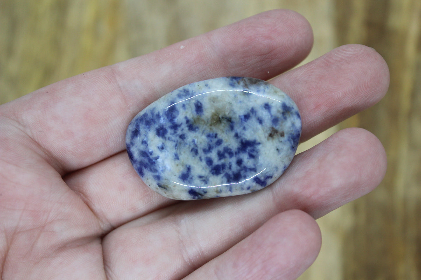 Sodalite Palm Stone