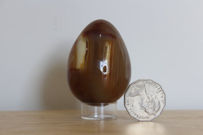 Carnelian Egg