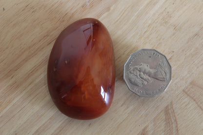 Carnelian Freeform/Palmstone