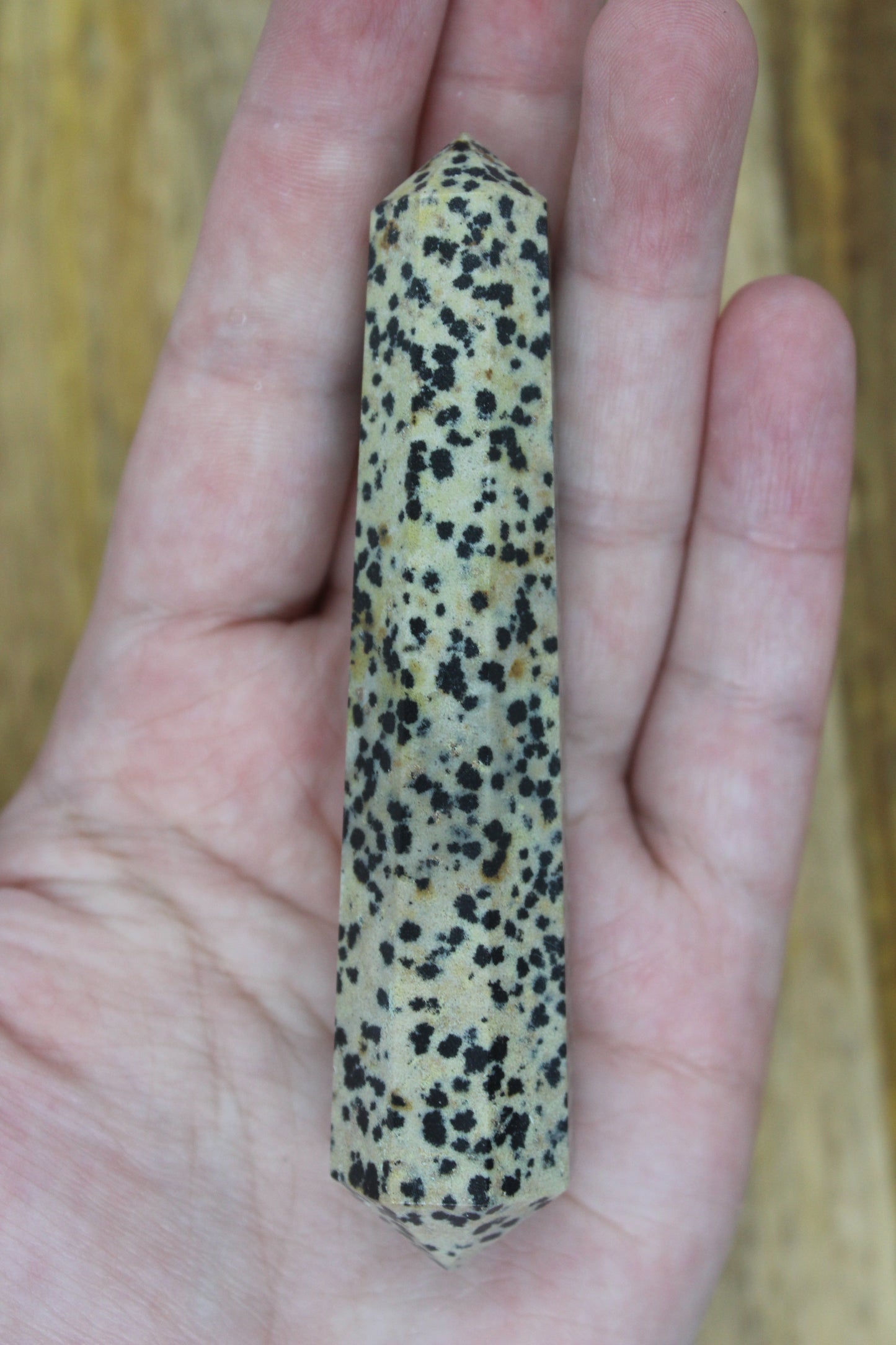 Dalmatian Jasper Double Point