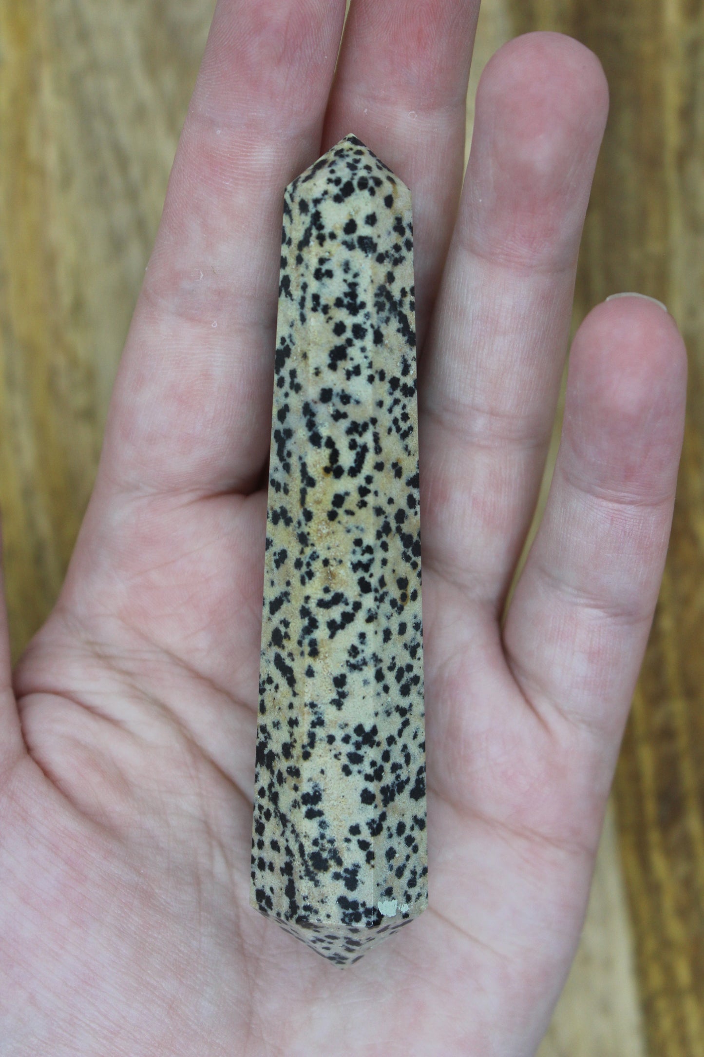 Dalmatian Jasper Double Point
