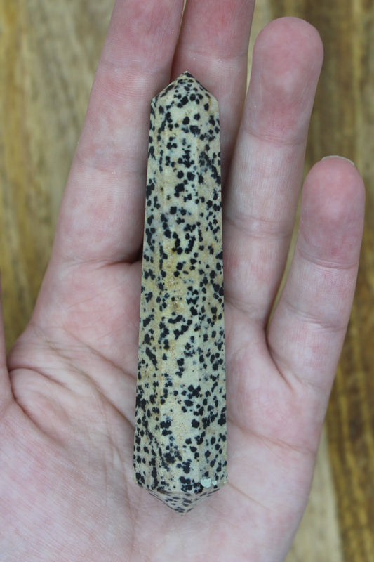 Dalmatian Jasper Double Point