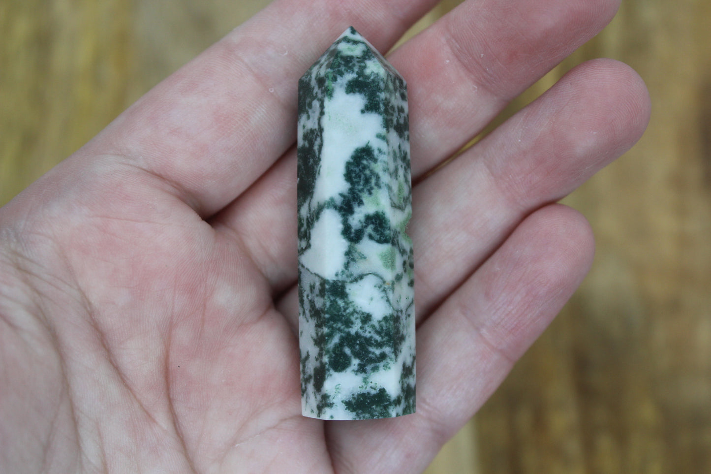 Moss Agate Point