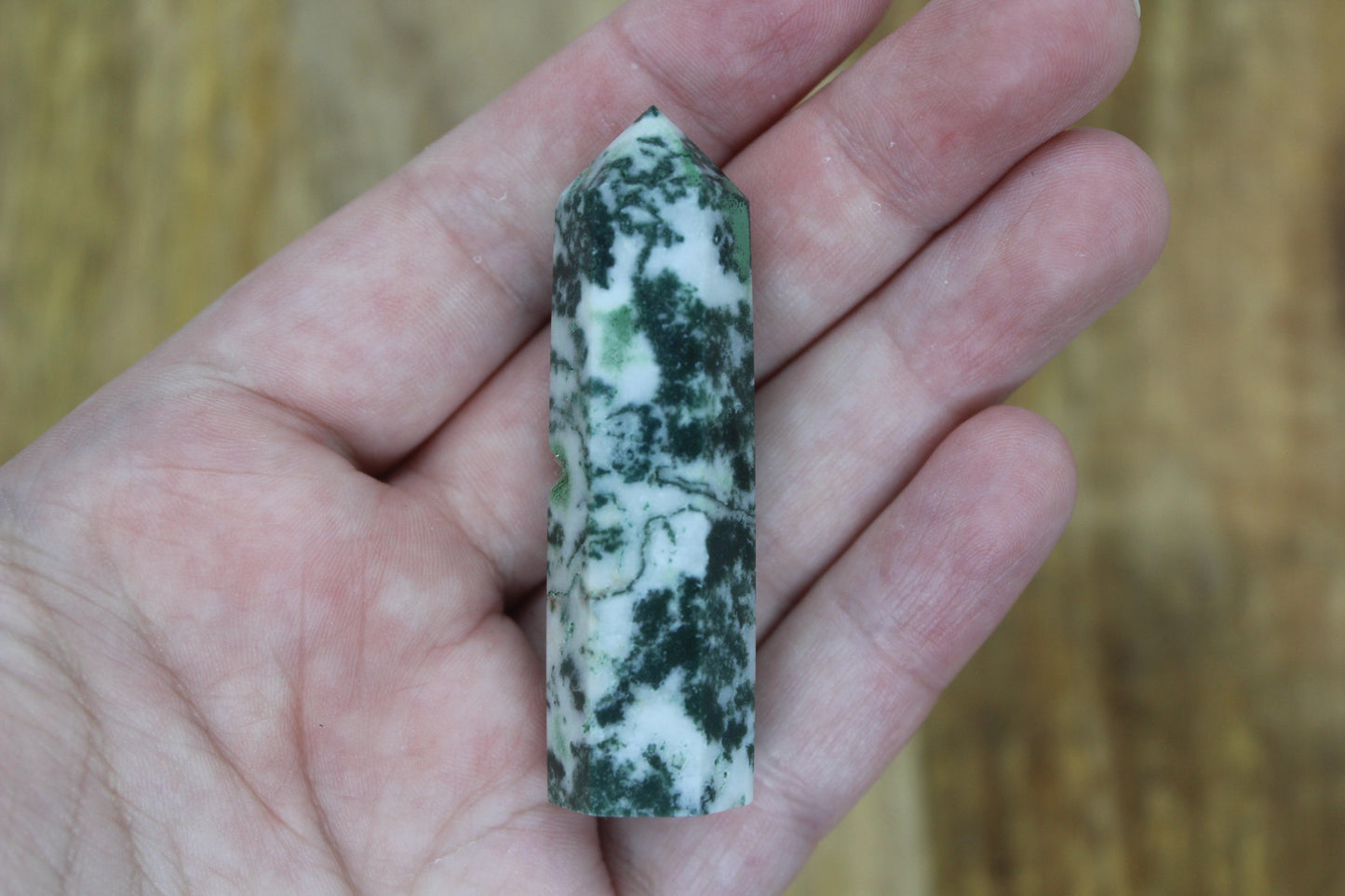 Moss Agate Point